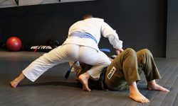 The-Academy-Beverly-Hills-Rigan-Machado-Brazilian-Jiu-Jitsu-13