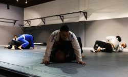 The-Academy-Beverly-Hills-Rigan-Machado-Brazilian-Jiu-Jitsu-2