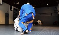 The-Academy-Beverly-Hills-Rigan-Machado-Brazilian-Jiu-Jitsu-7