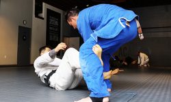 The-Academy-Beverly-Hills-Rigan-Machado-Brazilian-Jiu-Jitsu-8