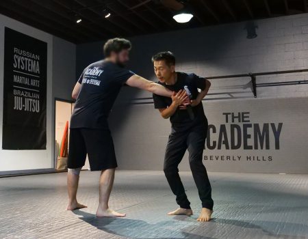 free trial to the academy beverly hills martin wheeler systema self defense