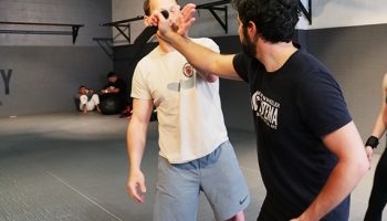 the-academy-beverly-hills-martin-wheeler-russian-systema5